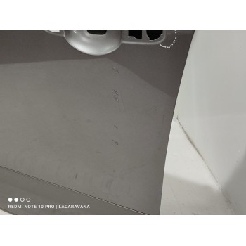 Recambio de puerta delantera izquierda para renault scenic iii emotion referencia OEM IAM 801014845R  