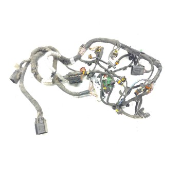 CABLEADO ELECTRICO 48852029F 