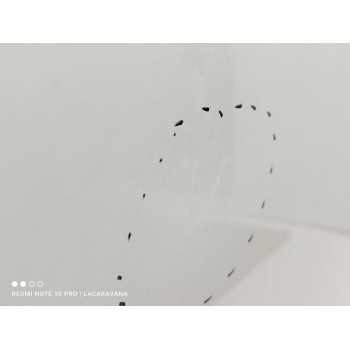 Recambio de puerta delantera izquierda para citroën berlingo station wagon sx multispace referencia OEM IAM 9002Z3  