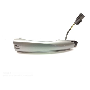 MANETA EXTERIOR DELANTERA IZQUIERDA 806404EA6A 