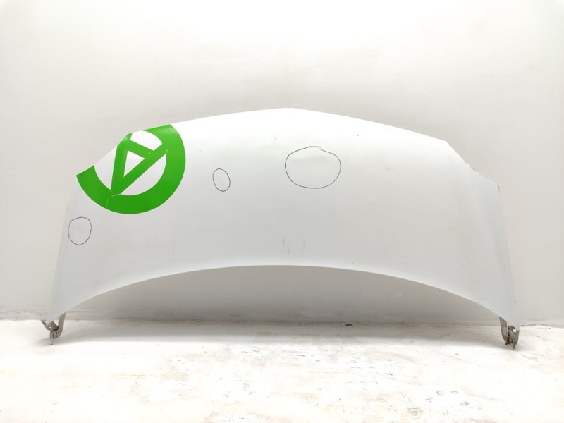 Recambio de capo para renault kangoo authentique referencia OEM IAM 651003220R  