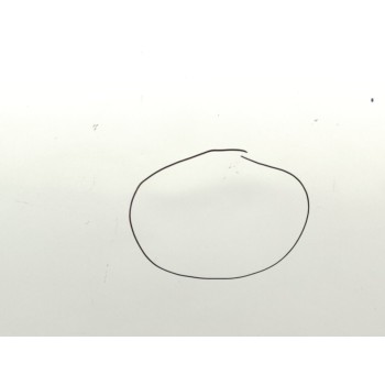 Recambio de capo para renault kangoo authentique referencia OEM IAM 651003220R  