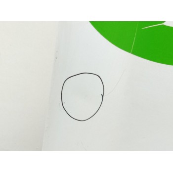 Recambio de capo para renault kangoo authentique referencia OEM IAM 651003220R  