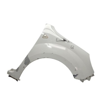 Recambio de aleta delantera derecha para renault kangoo authentique referencia OEM IAM 631009162R  
