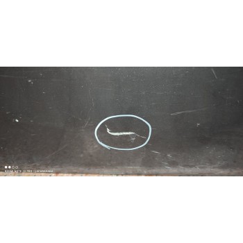 Recambio de puerta delantera derecha para bmw serie 1 lim. (f20) 116d referencia OEM IAM   