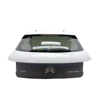 PORTON TRASERO 9800805380 