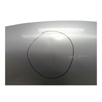 Recambio de capo para volkswagen tiguan (5n2) advance bluemotion referencia OEM IAM 5N0823031D  