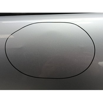 Recambio de puerta delantera izquierda para volkswagen tiguan (5n2) advance bluemotion referencia OEM IAM 5N0831055B  