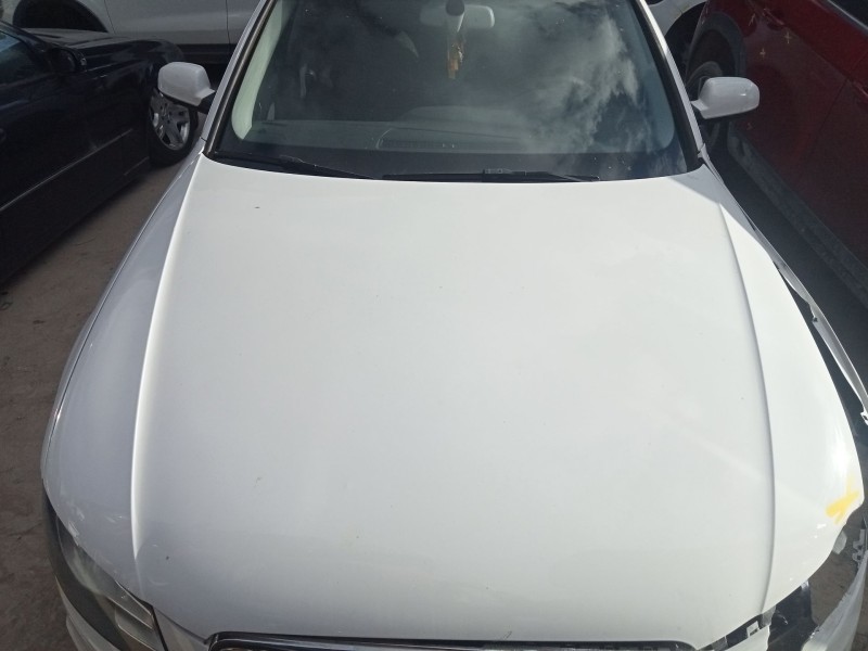 Recambio de capo para audi a4 b8 avant (8k5) 2.0 tdi referencia OEM IAM   