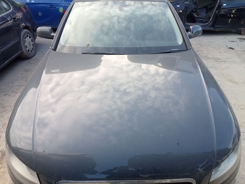 Recambio de capo para audi a4 b8 (8k2) 2.0 tdi referencia OEM IAM   