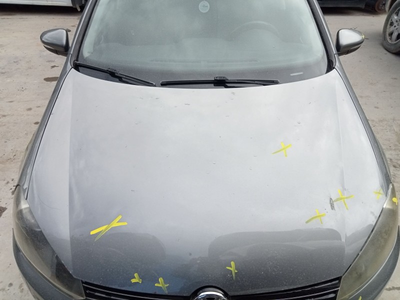 Recambio de capo para volkswagen golf vi (5k1) 1.6 tdi referencia OEM IAM   