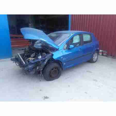 PEUGEOT 307 (S1)