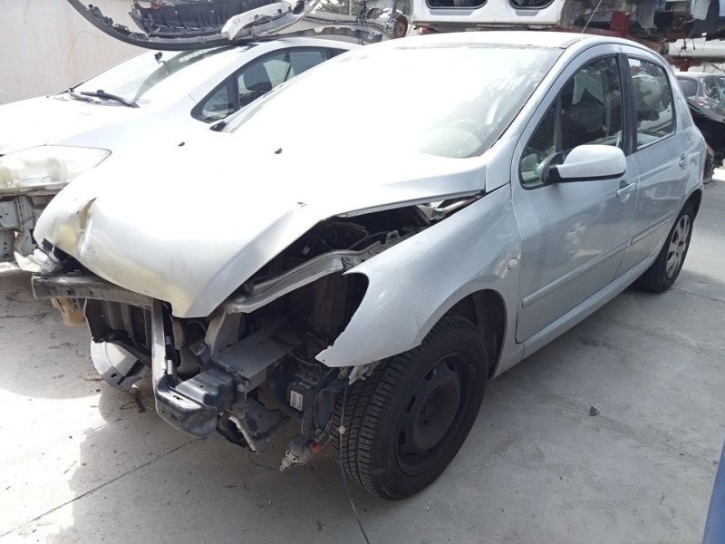 PEUGEOT 307 (S1)