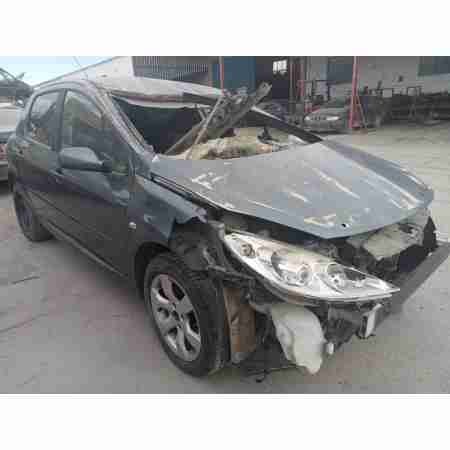 PEUGEOT 307 BREAK/SW (S2)