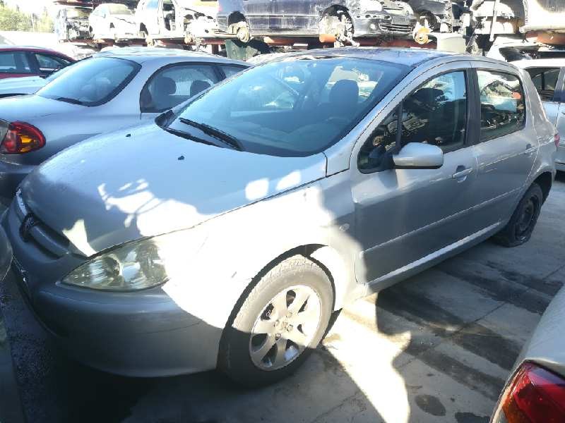 PEUGEOT 307 (S1)