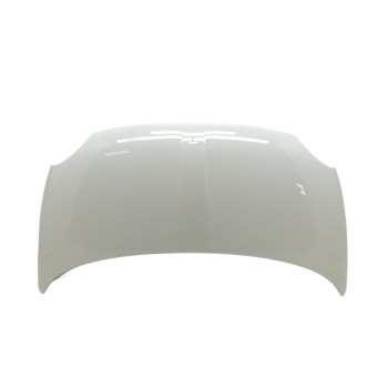 Recambio de capo para fiat nuova 500 (150) lounge referencia OEM IAM 52009424  