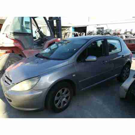 PEUGEOT 307 (S1)