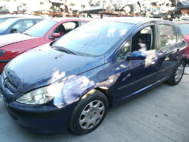 PEUGEOT 307 (S1)