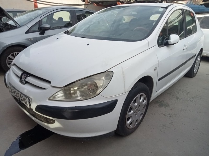 PEUGEOT 307 (S1)