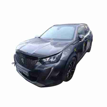 PEUGEOT 2008 (P1)