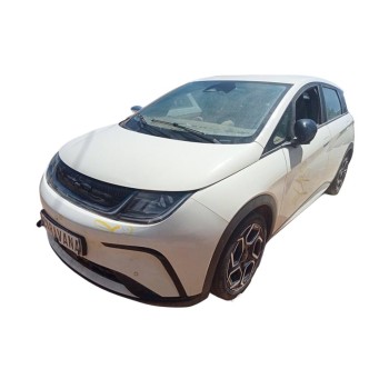 byd dolphin del año 2024