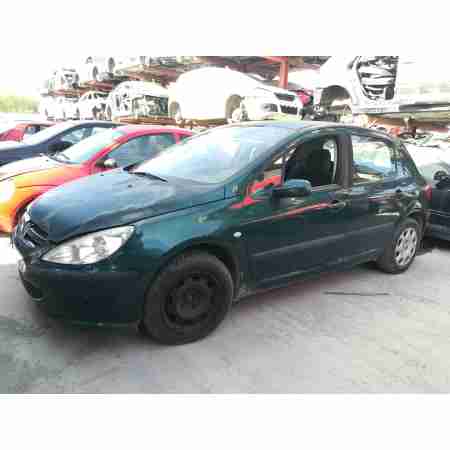 PEUGEOT 307 (S1)