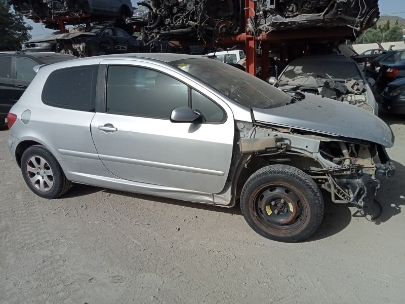 PEUGEOT 307 (S1)