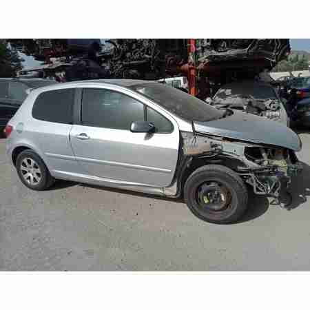 PEUGEOT 307 (S1)