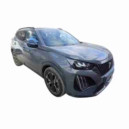 PEUGEOT 2008 (P1)