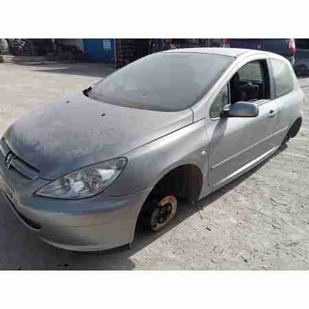 PEUGEOT 307 (S1)