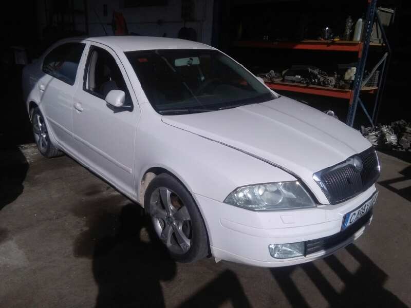 SKODA OCTAVIA BERLINA (1Z3)