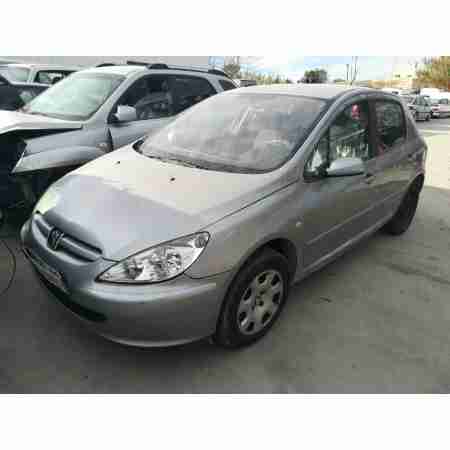 PEUGEOT 307 (S1)