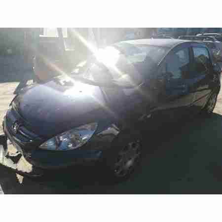 PEUGEOT 307 (S1)