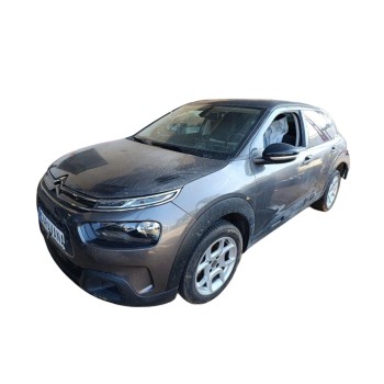 citroën c4 cactus del año 2019