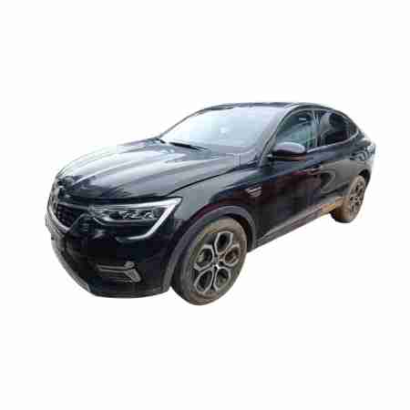 RENAULT ARKANA I (LCM_, LDN_)