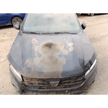 Recambio de capo para dacia sandero iii stepway essential referencia OEM IAM 651004113R  