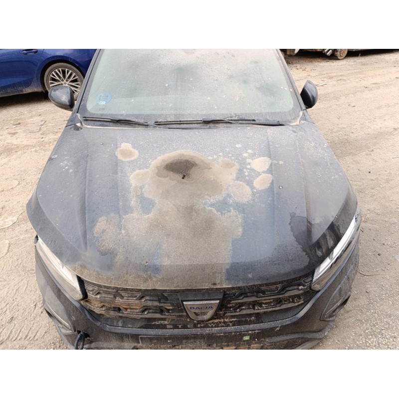 Recambio de capo para dacia sandero iii stepway essential referencia OEM IAM 651004113R  