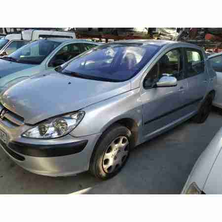 PEUGEOT 307 (S1)