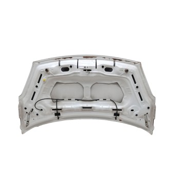 Recambio de capo para citroën berlingo station wagon seduction referencia OEM IAM 7901P7  