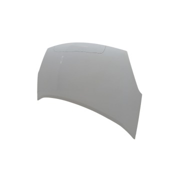 Recambio de capo para citroën berlingo station wagon seduction referencia OEM IAM 7901P7  