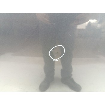 Recambio de capo para peugeot partner kombi active referencia OEM IAM 7901P7  