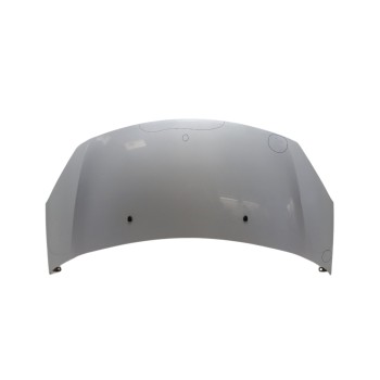 Recambio de capo para citroën c3 selection referencia OEM IAM 7901R1  