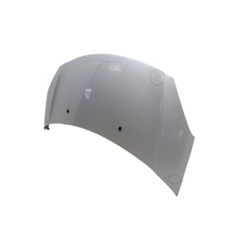 Recambio de capo para citroën c3 selection referencia OEM IAM 7901R1  