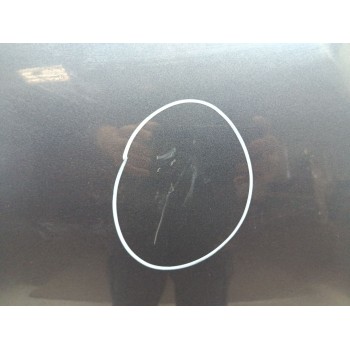 Recambio de capo para renault kadjar (ha_, hl_) 1.3 tce 140 referencia OEM IAM 651004019R  