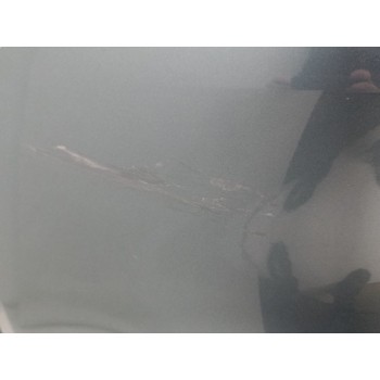 Recambio de paragolpes trasero para kia xceed (cd) 1.6 crdi 136 referencia OEM IAM 86640J7CA0  