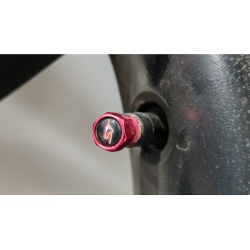 Recambio de juego llantas para ford kuga (cbs) st-line referencia OEM IAM GJ5C1007S3A  