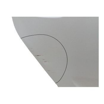 Recambio de puerta trasera derecha para dacia sandero stepway referencia OEM IAM 821002434R  