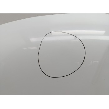 Recambio de capo para renault express furgoneta/monovolumen 1.3 tce 100 (f6ma) referencia OEM IAM 651004023R  