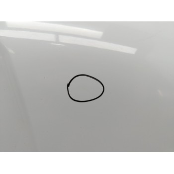 Recambio de capo para renault express furgoneta/monovolumen 1.3 tce 100 (f6ma) referencia OEM IAM 651004023R  