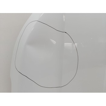 Recambio de capo para renault express furgoneta/monovolumen 1.3 tce 100 (f6ma) referencia OEM IAM 651004023R  